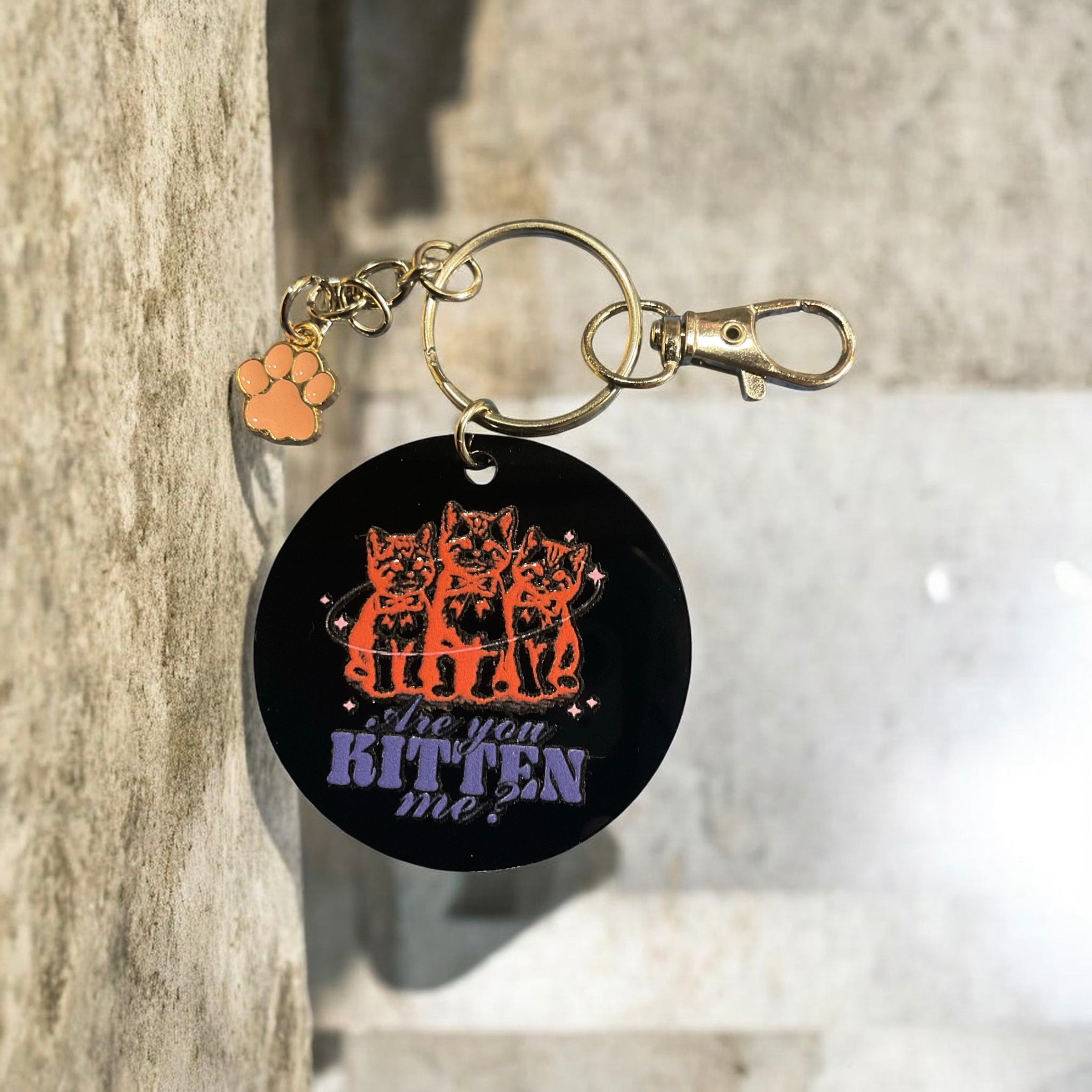 Are You Kitten Me Keychain