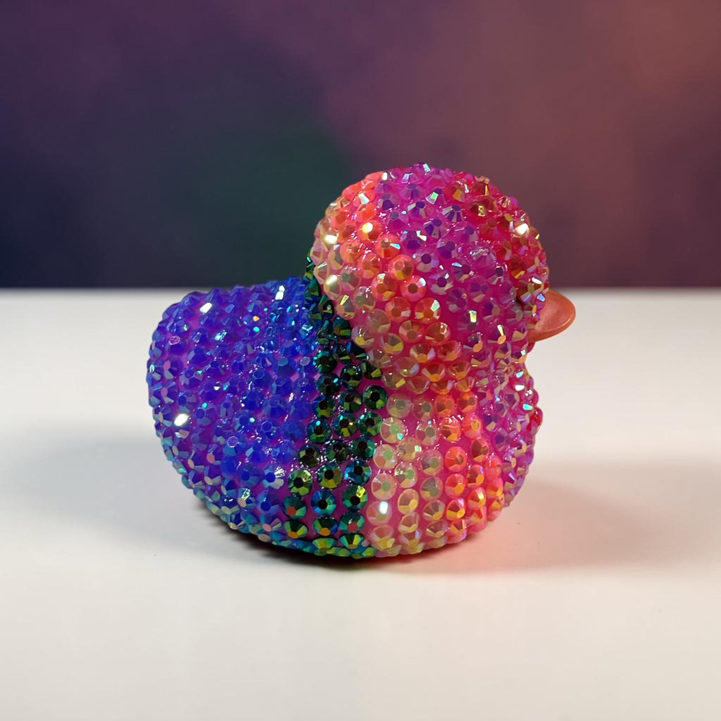 Rainbow Duck